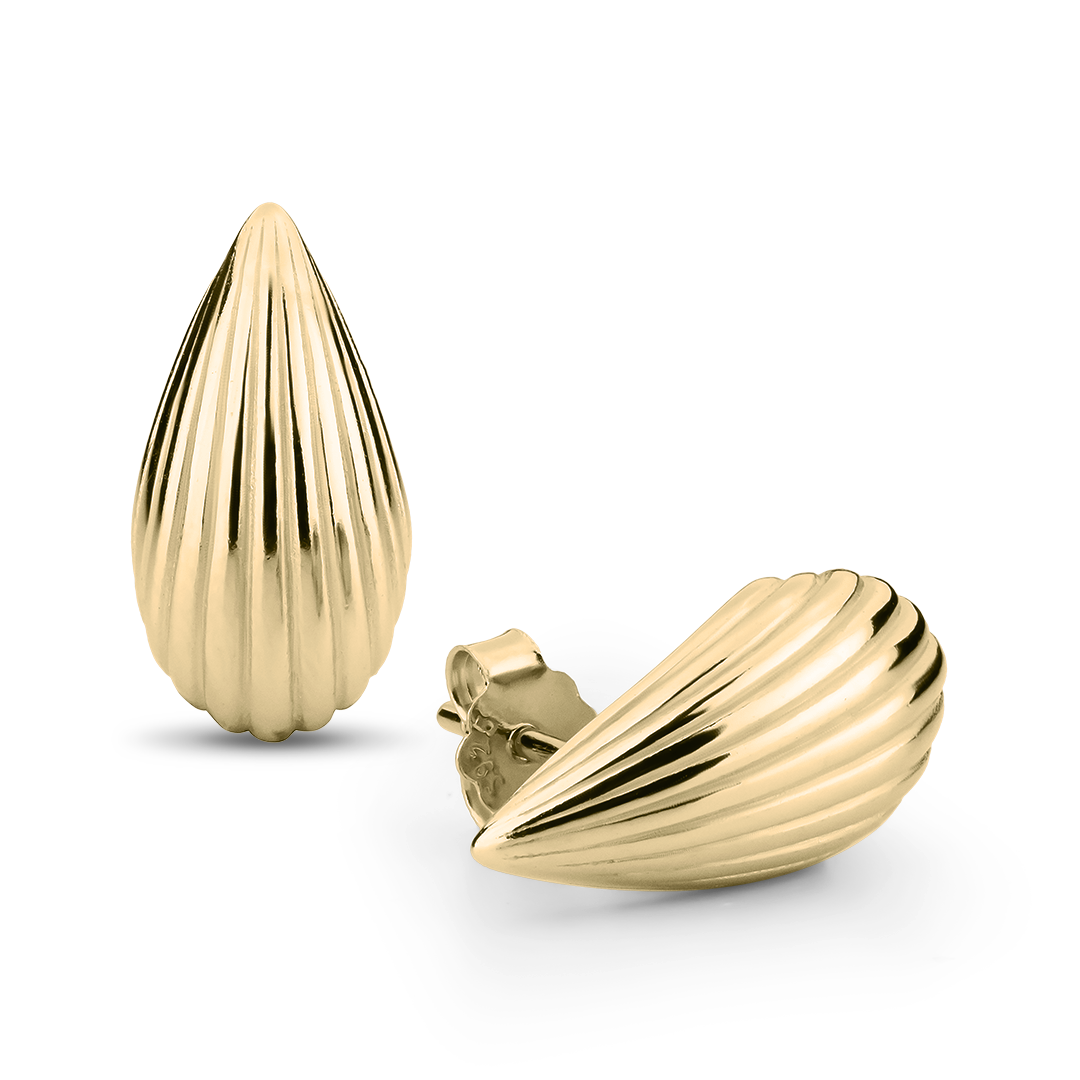 Náušnice Silver Xenith